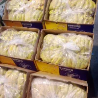 تهیه میوه تره بار از میدان تهران