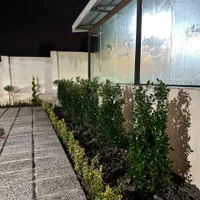 اجاره روزانه واحد استخردار دو خوابه شیک در طبیعت|اجارهٔ کوتاه‌مدت آپارتمان و سوئیت|لاهیجان, بازکیاگوراب|دیوار