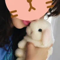 خرگوش لوپ قزاقستانی اندازه کف دست