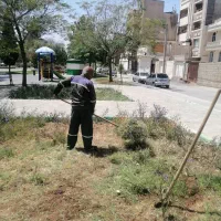 سلام باغبان هستم