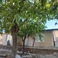 کلیه خدمات بنایی کاشی وسرامیک و غیره..|خدمات پیشه و مهارت|تنکابن, |دیوار