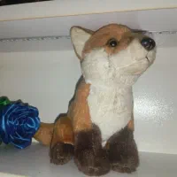 عروسک پولیشی|اسباب‌‌بازی|زنجان, |دیوار