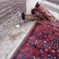 فرش|فرش|کوهدشت, |دیوار