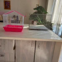 قفس پرنده|لوازم جانبی حیوانات|تهران, کوی بیمه|دیوار