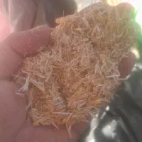 کاه گندم کوبیده ریز گوسفندی درجه یک