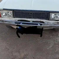 پیکان مدل 83|خودرو سواری و وانت|سیرجان, |دیوار