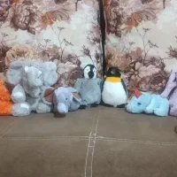 عروسک|اسباب‌‌بازی|بندرعباس, |دیوار