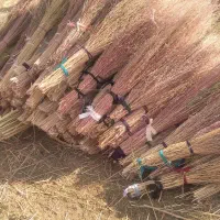 جاروی بلند|لوازم نظافت|یاسوج, |دیوار