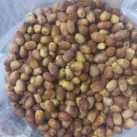قصب تازه ونرم|خوردنی و آشامیدنی|شیراز, جوادیه|دیوار