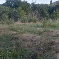 اجاره زمین باغ