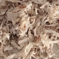 چغندر برای گاو گوساله گوسفند و بره