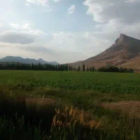 فروش-زمین-کشاورزی