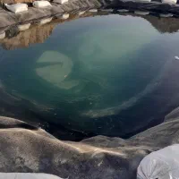 زمین کشاورزی