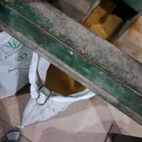 بذریونجه پایه بلند همدان|عمده‌فروشی|پارس‌آباد, |دیوار