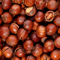 بادام شکنی، فندق شکنی، پسته و گردوشکنی با دستگاه|خدمات باغبانی و درختکاری|آذرشهر, |دیوار