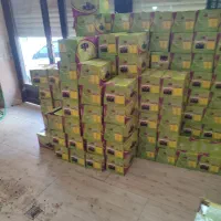 فروش عمده خرمای مضافتی بدون واسطه از بم