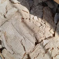 نان خشک کیسه ۲۰۰تومان بدون کپک