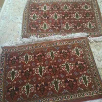 پادری بختیاری