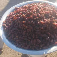 فروش انواع خرما تازه امسال نمایشگاه سیرجان|خوردنی و آشامیدنی|سیرجان, |دیوار