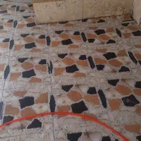 کفسابی انواع موزاییک و سرامیک بتن و سنگ|خدمات نظافت|دوگنبدان, |دیوار