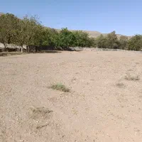 1500متر زمین کشاورزی در کرمجگان