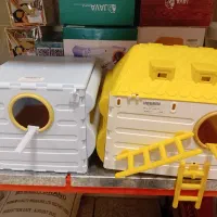 عروس هلندی،مرغ عشق،طوطی،انواع پرندگان زینتی|لوازم جانبی حیوانات|رباط‌کریم, رباط‌کریم|دیوار