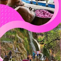 توریکروزه جشنواره گل وگلاب وآبشار سپید پوشان نیاسر