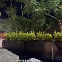 تولید فلاور باکس و سقف پرگولا flower box نارمک