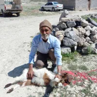 قصابی برای عید قربان
