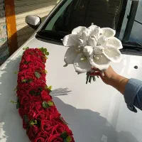 پنل گل ماشین عروس ( اجاره ای)
