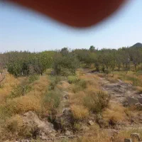 3600-متر-زمین-سند-تک-برگ-6-دانگ-فروش-فوری