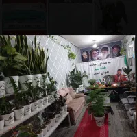 زمین تجاری مسکونی کمربندی جدید
