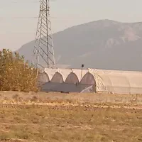 زمین گلخانه|فروش دفتر صنعتی، کشاورزی، تجاری|کرج, مهرویلا جنوبی|دیوار