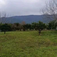 زمین-لیوان-غربی