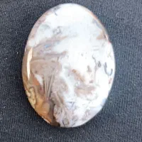 شجر زمستانه