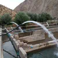 فروش دیزل ژنراتور آبکشی|ماشین‌آلات صنعتی|فریدونشهر, |دیوار