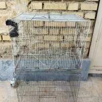 قفس.جفت کن کفتر و عروس هلندی|لوازم جانبی حیوانات|امیدیه, |دیوار