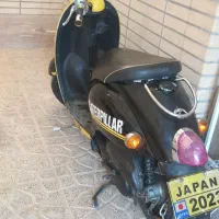 فروش موتور پاکشتی وینو ژاپن تمیز|موتورسیکلت|اصفهان, بهارستان|دیوار