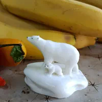 خرس قطبی معلق روی آب مخصوص آکواریوم
