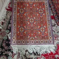 قالی فرش دستبافت|فرش|فیروزآباد (فارس), |دیوار