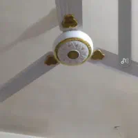 فروش پنگه