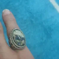 انگشتر شجر عتیقه