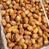 خرمای زاهدی|عمده‌فروشی|اسفرورین, |دیوار