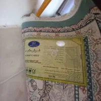 فرش ۹ متری|فرش|پرند, فاز ۶|دیوار