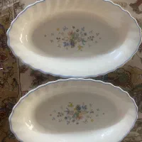 پیش دستی و الویه خوری ارکوپال ویکتوریا