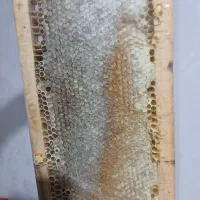 تک عسل طبیعی ارزنق