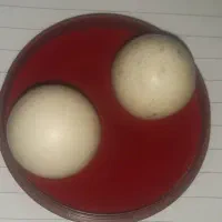 سنگ قیمتی ودستگاه سختی سنج|ابزارآلات|یاسوج, |دیوار