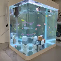 آکواریوم آماده شرکتی با ماهی و لوازم|ماهی|شیراز, تپه تلویزیون|دیوار