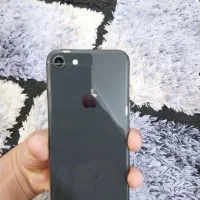 گوشی ایفون8سالم و تمیز|موبایل|رشت, حمیدیان|دیوار