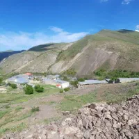 عسل ناب|خوردنی و آشامیدنی|زنجان, |دیوار